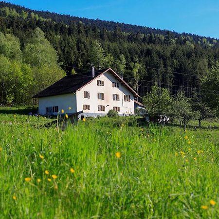 Le Guardabarranco Saulxures-sur-Moselotte Exteriör bild